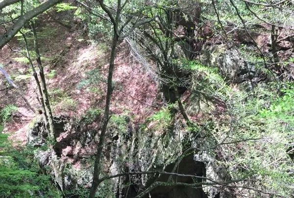 御岳山の写真・動画_image_1360752