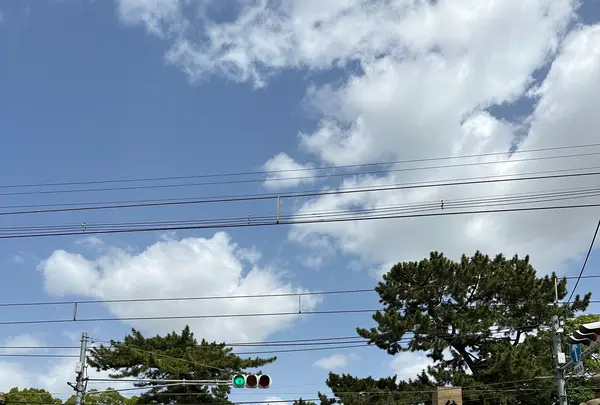 住吉大社の写真・動画_image_1361232