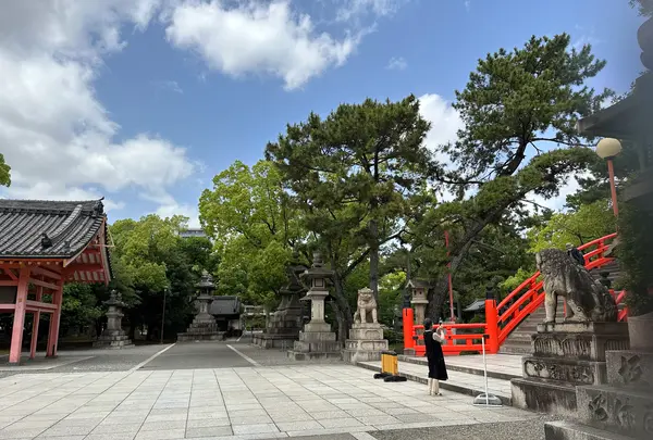 住吉大社の写真・動画_image_1361239