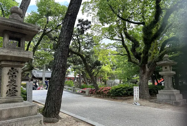 住吉大社の写真・動画_image_1361245