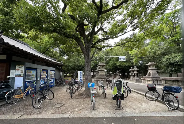 住吉大社の写真・動画_image_1361246