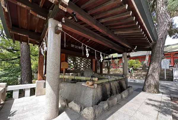 住吉大社の写真・動画_image_1361263