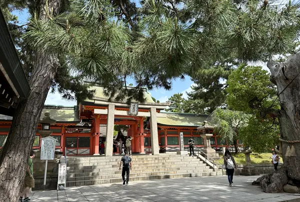 住吉大社の写真・動画_image_1361264