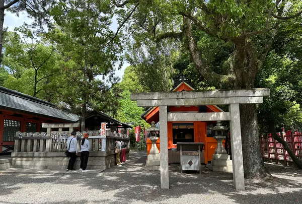 住吉大社の写真・動画_image_1361281