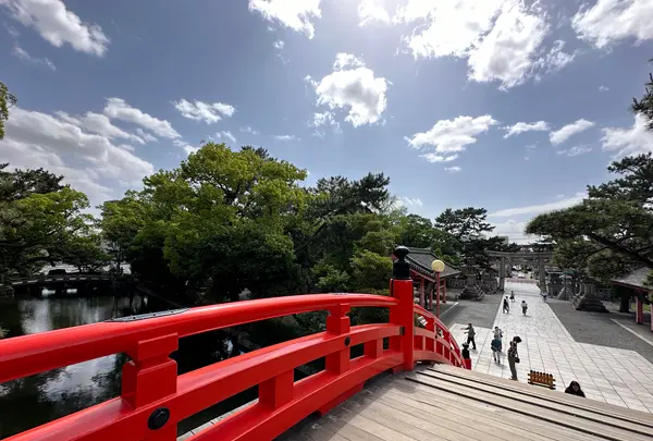 住吉大社の写真・動画_image_1361292