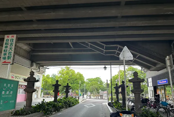 住吉公園の写真・動画_image_1361316