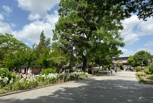 住吉公園の写真・動画_image_1361330
