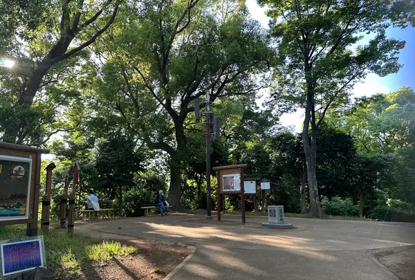 茶臼山（天王寺公園）の写真・動画_image_1361419