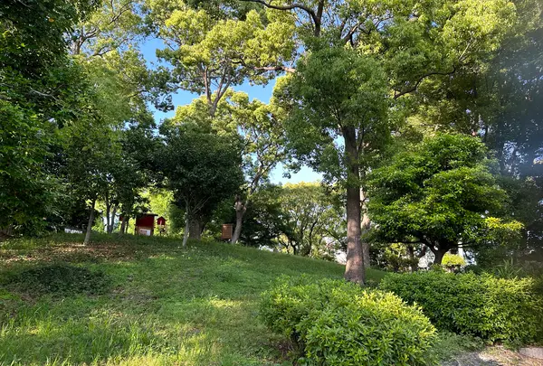 茶臼山（天王寺公園）の写真・動画_image_1361421