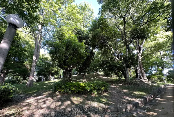 茶臼山（天王寺公園）の写真・動画_image_1361422