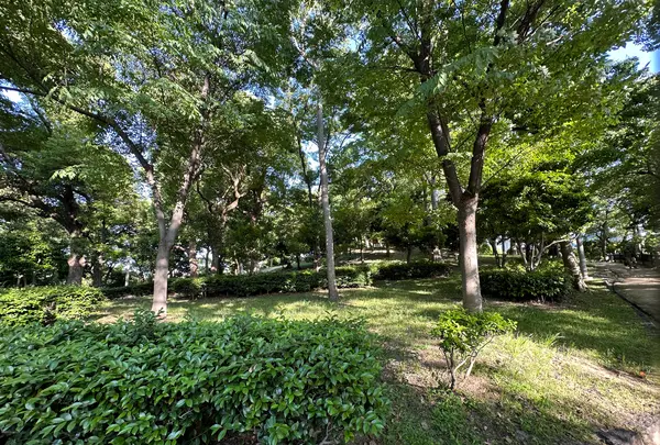 茶臼山（天王寺公園）の写真・動画_image_1361425