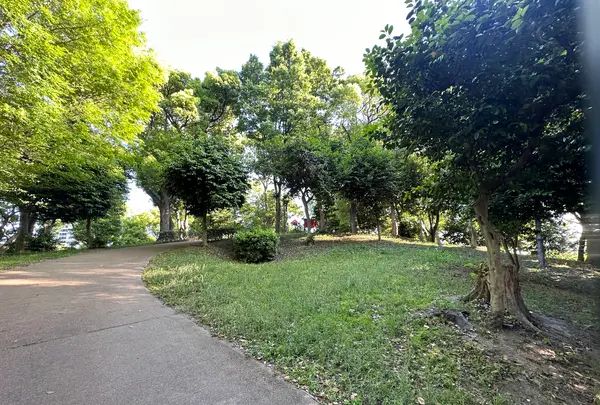 茶臼山（天王寺公園）の写真・動画_image_1361426