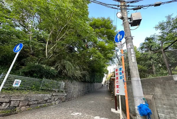 天王寺七坂「愛染坂」の写真・動画_image_1361594