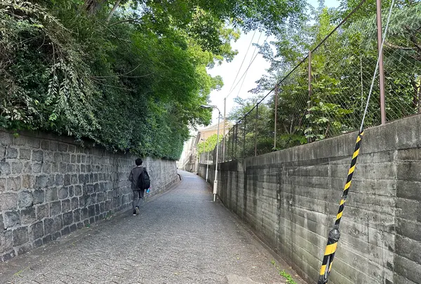 天王寺七坂「愛染坂」の写真・動画_image_1361595