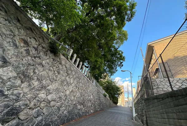 天王寺七坂「愛染坂」の写真・動画_image_1361597