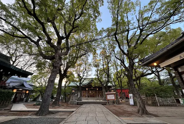 高津宮（高津神社）の写真・動画_image_1361616