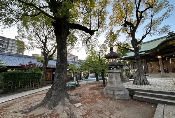 高津宮（高津神社）の写真・動画_image_1361619