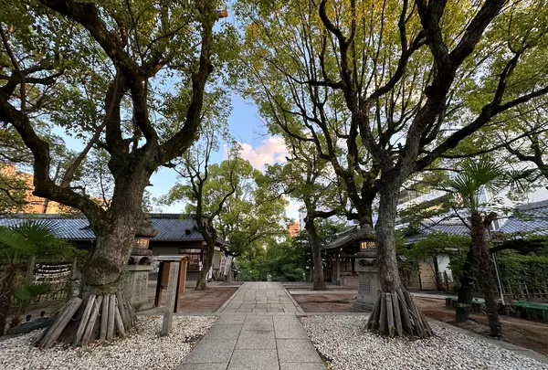 高津宮（高津神社）の写真・動画_image_1361622