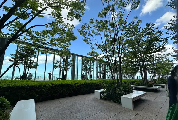 ハルカス300 展望台の写真・動画_image_1361970
