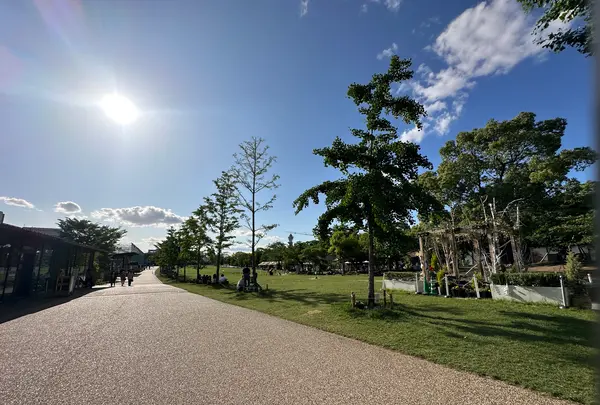 天王寺公園の写真・動画_image_1362012