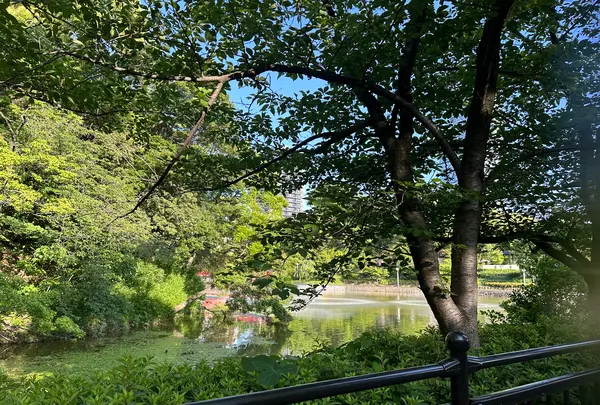 天王寺公園の写真・動画_image_1362029
