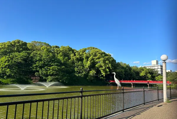 天王寺公園の写真・動画_image_1362033