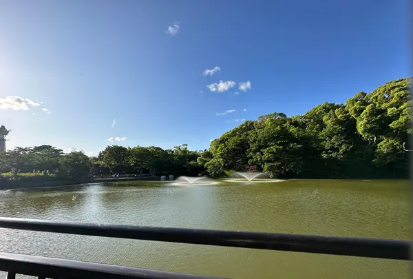 天王寺公園の写真・動画_image_1362034