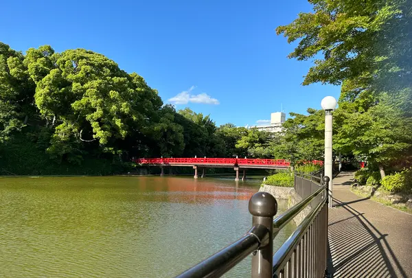 天王寺公園の写真・動画_image_1362035