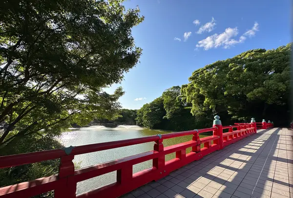 天王寺公園の写真・動画_image_1362039
