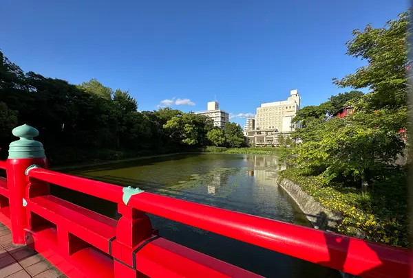 天王寺公園の写真・動画_image_1362040