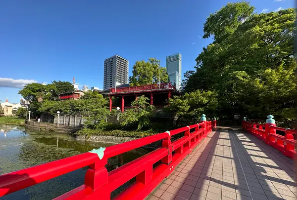 天王寺公園の写真・動画_image_1362041