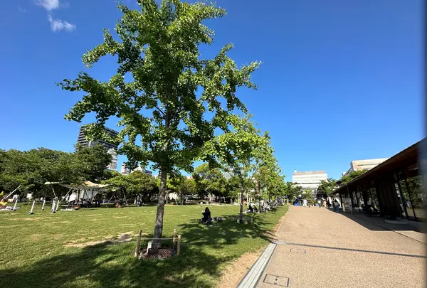 てんしばの写真・動画_image_1362054