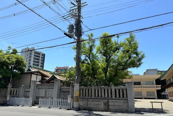 今宮戎神社の写真・動画_image_1362378