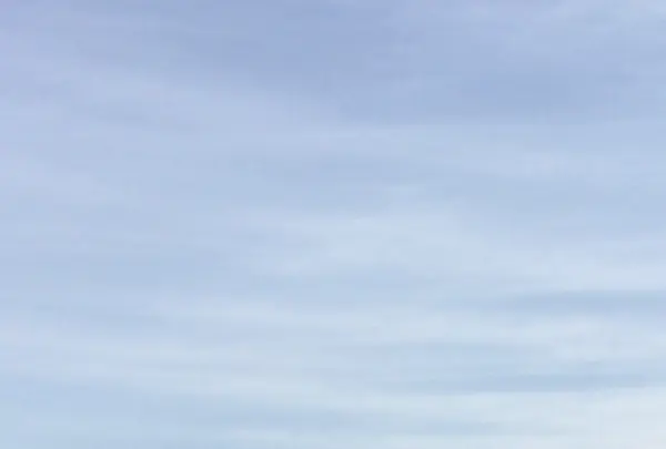 猿島の写真・動画_image_1363089