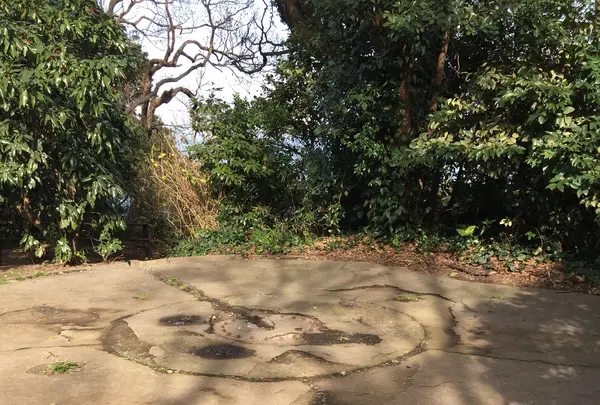 猿島の写真・動画_image_1363092