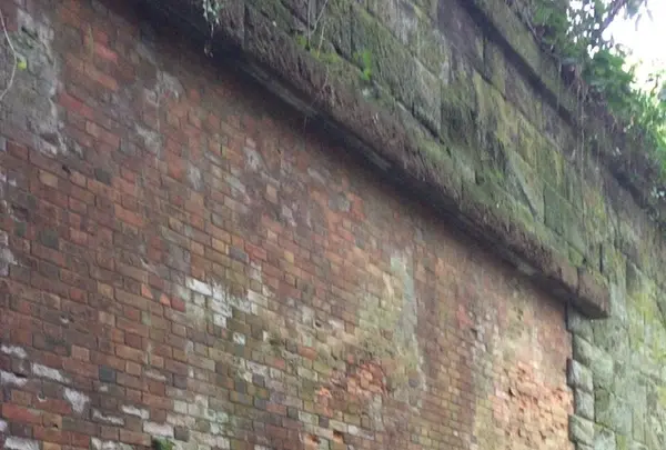 猿島の写真・動画_image_1363094