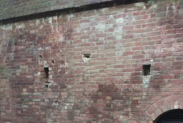 猿島の写真・動画_image_1363095