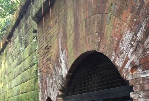 猿島の写真・動画_image_1363096