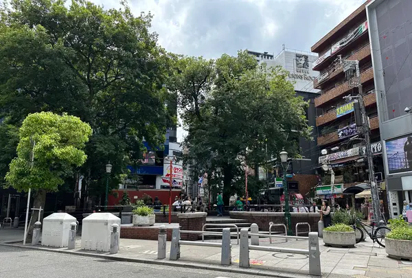 御津公園（三角公園）の写真・動画_image_1363677