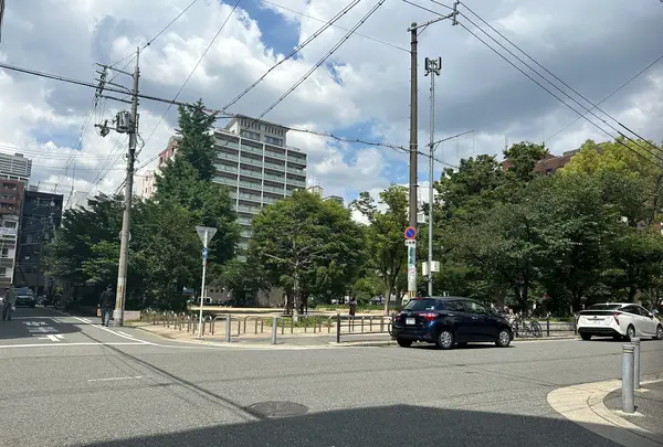 堀江公園の写真・動画_image_1363690