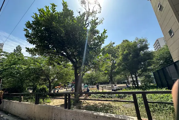 堀江公園の写真・動画_image_1363699