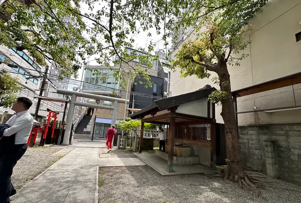 御津宮 (御津八幡宮)の写真・動画_image_1363826