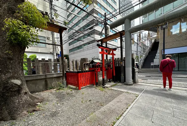 御津宮 (御津八幡宮)の写真・動画_image_1363827