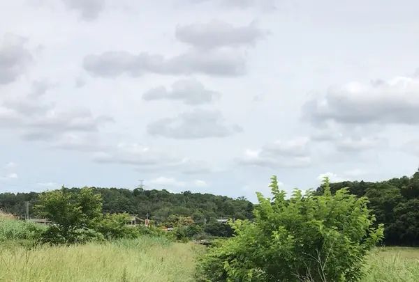 支川都川の写真・動画_image_1364299