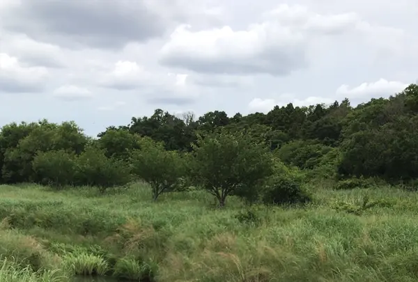 支川都川の写真・動画_image_1364343
