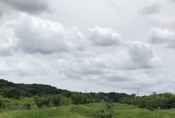 支川都川の写真・動画_image_1364344
