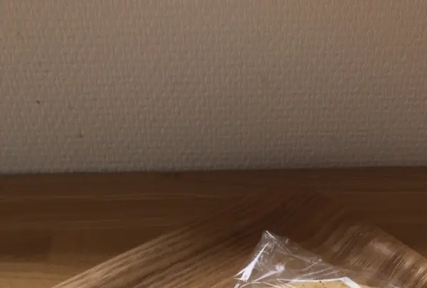 おおみやパンカフェの写真・動画_image_1364361