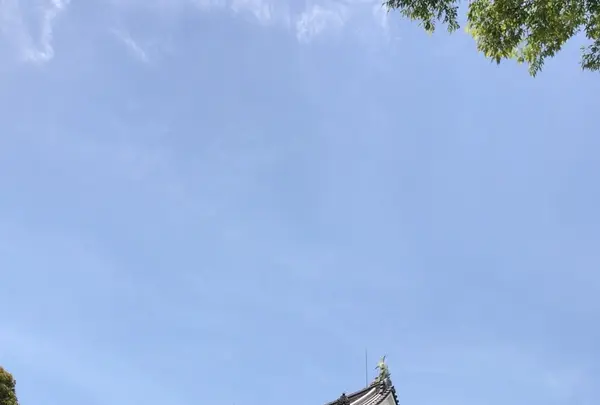 千葉城（猪鼻公園）千葉市立郷土博物館の写真・動画_image_1364364