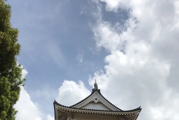 千葉城（猪鼻公園）千葉市立郷土博物館の写真・動画_image_1364365