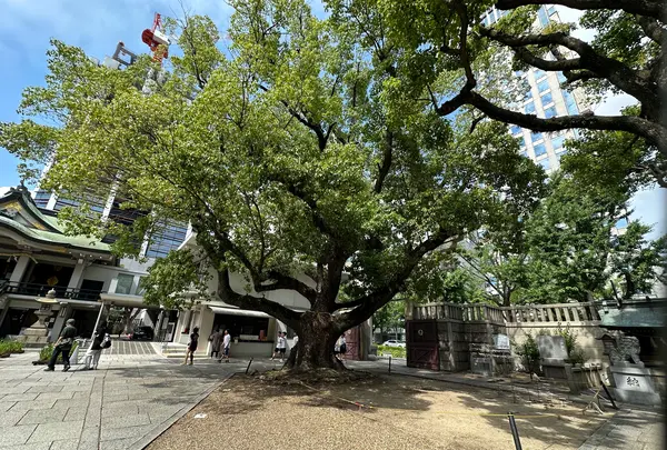 難波神社の写真・動画_image_1364442